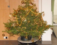 senioren_2012_26