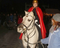 martinszug_2013_004