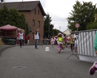 bv_sommerfest_2014_138