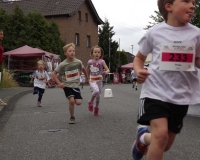 bv_sommerfest_2014_144