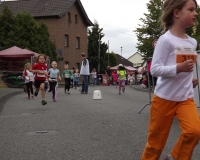 bv_sommerfest_2014_149