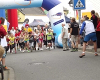 bv_sommerfest_2014_281