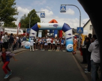 bv_sommerfest_2014_805