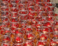 bv_sommerfest_2014_808