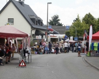 bv_sommerfest_2014_842