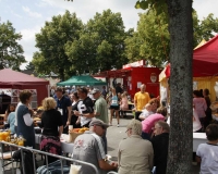 bv_sommerfest_2014_847