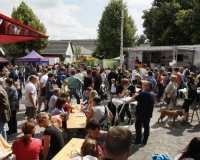 bv_sommerfest_2014_851