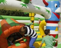 bv_sommerfest_2014_855