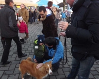 weihnachtsmarkt_2014_26