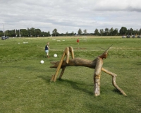 fussballgolf_dorffest_2015_141