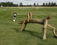 fussballgolf_dorffest_2015_142