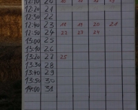 fussballgolf_dorffest_2015_22