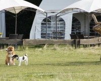 fussballgolf_dorffest_2015_64