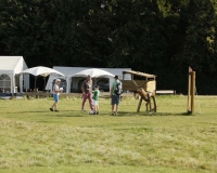 fussballgolf_dorffest_2015_66