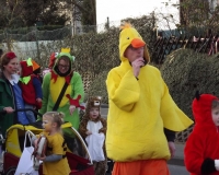 2016_karneval_1280px_10
