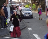 2016_karneval_1280px_32