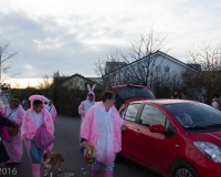 2016_karneval_1280px_95