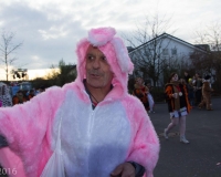 2016_karneval_1280px_96