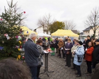 Weihnachtsbaum 2016 (26 von 98)
