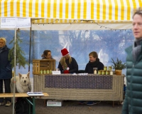 Weihnachtsbaum 2016 (31 von 98)