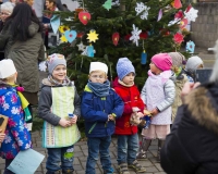 Weihnachtsbaum 2016 (37 von 98)
