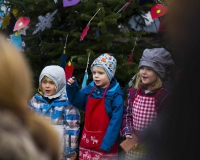 Weihnachtsbaum 2016 (41 von 98)