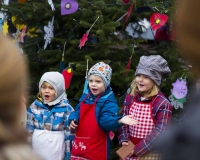 Weihnachtsbaum 2016 (42 von 98)