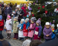 Weihnachtsbaum 2016 (44 von 98)