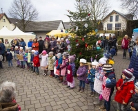 Weihnachtsbaum 2016 (45 von 98)