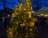 Weihnachtsbaum 2016 (87 von 98)