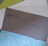 IMG_9558-169x300