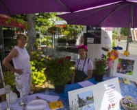 Sommerfest2017 (1 von 169)