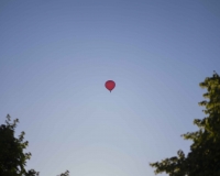 Sommerfest2017 (164 von 169)