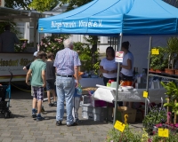 Sommerfest2017 (5 von 169)