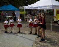Sommerfest Vinxel2018 (11 von 80)