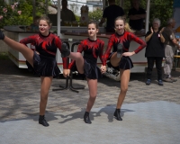 Sommerfest Vinxel2018 (16 von 80)
