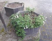 20180430_140354
