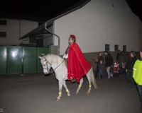 martinszug_nov_2016_24