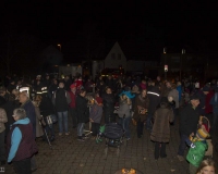 martinszug_nov_2016_60
